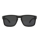 Gafa sol inyectado PL532 56-16 (130) bemboo eyewear
